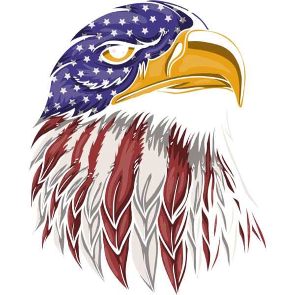 American Eagle Thumbnail